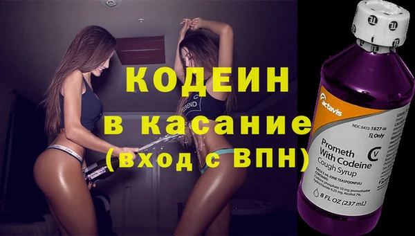 прущая мука Вяземский