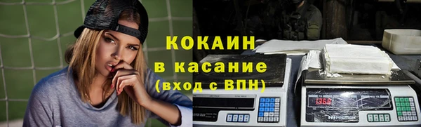 прущая мука Вяземский