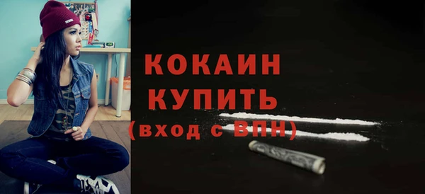 прущая мука Вяземский