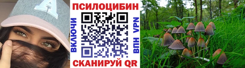 shop телеграм  Хабаровск  Галлюциногенные грибы ЛСД 